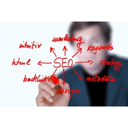 Référencement SEO
